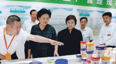 原中共中央政治局委員、國(guó)務(wù)院副總理劉延?xùn)|視察我公司